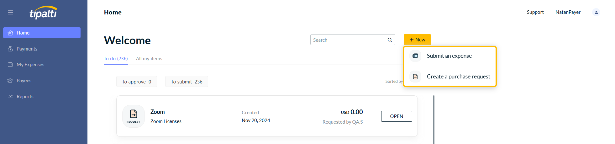 Create expense from Home tab